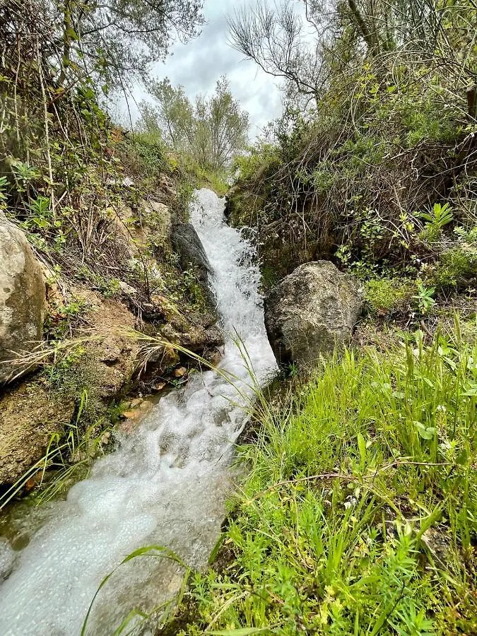 Гостевой дом Cortijo Samadhi Ланхарон Летний дом