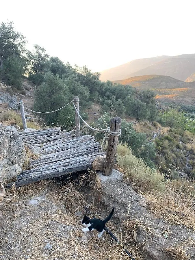 Cortijo Samadhi Guest House Lanjaron Spain