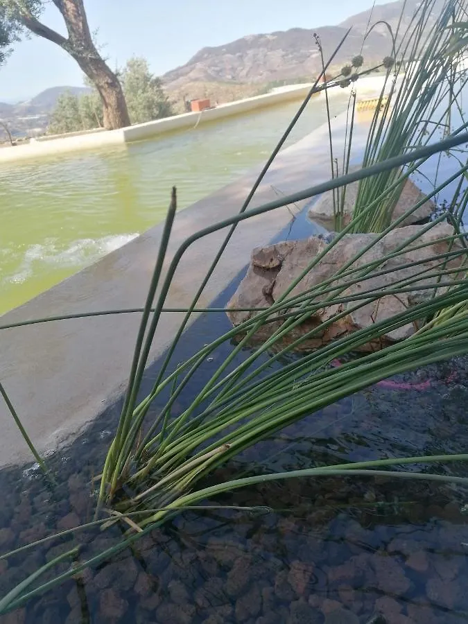 Cortijo Samadhi Guest House Lanjaron 0*,