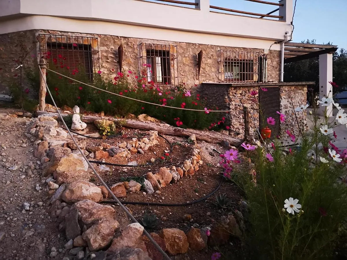 Cortijo Samadhi location